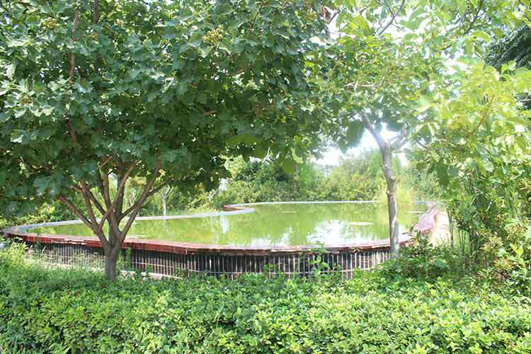 呼和浩特石健汽车维修与保养有限公司机械厂区环境优美